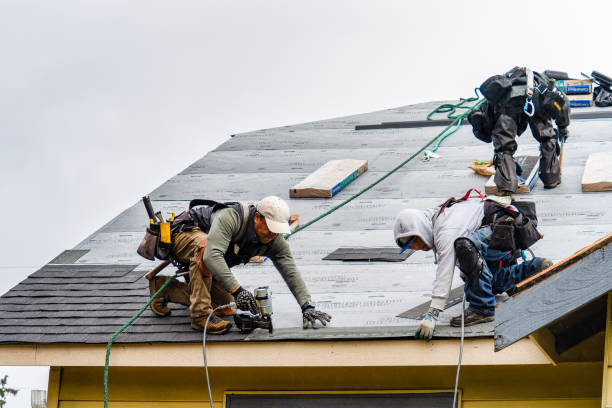 Professional Roofing technician working in Somerville, TX